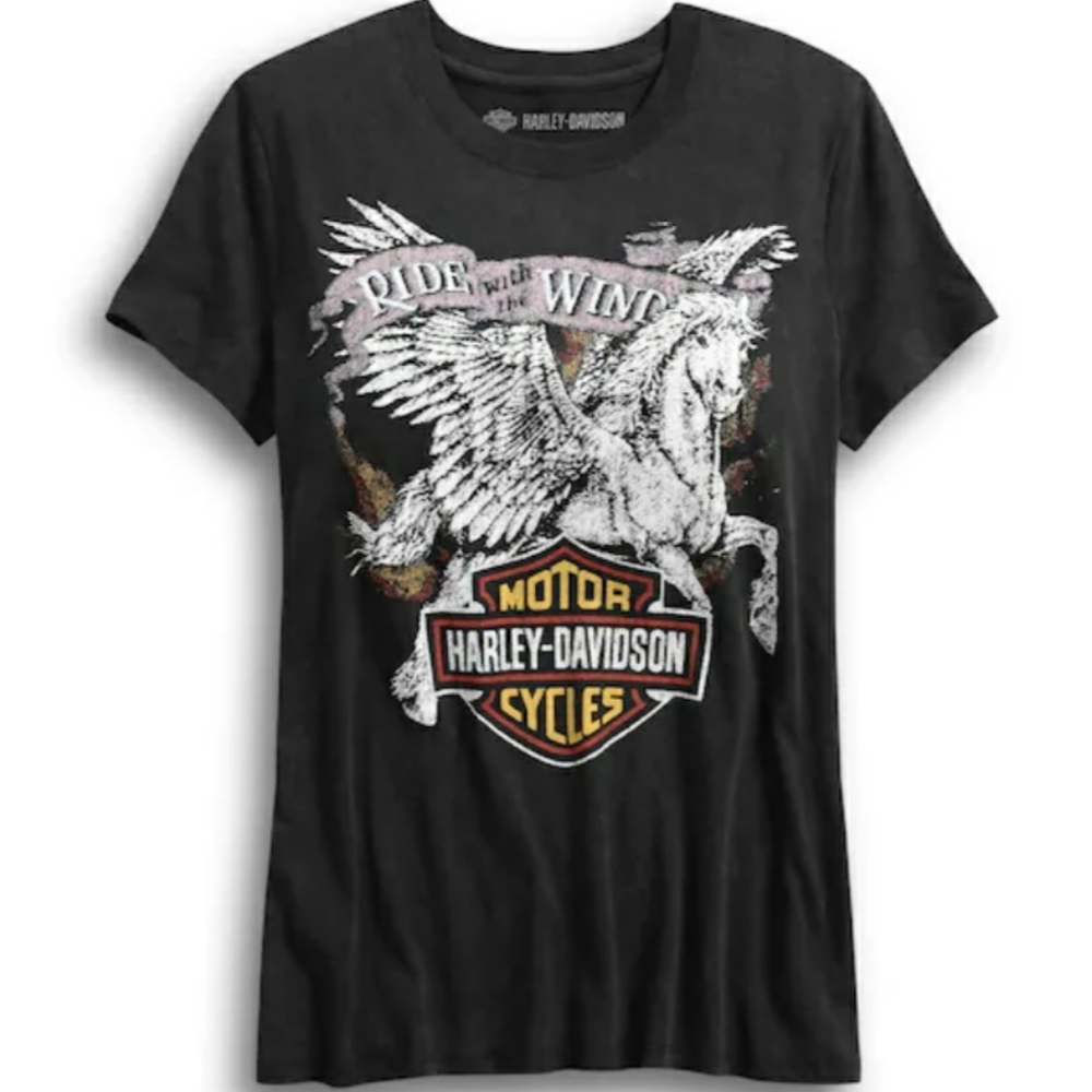 Harley-Davidson ride with the wind tee